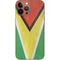 Guyana Flag Distressed iPhone 13 Pro Max Skin